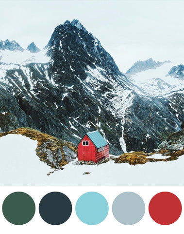One Tiny Tribe colour palette for a boy's room picked right out of nature. Dark greens, grey, and the contrast of light blue and red.