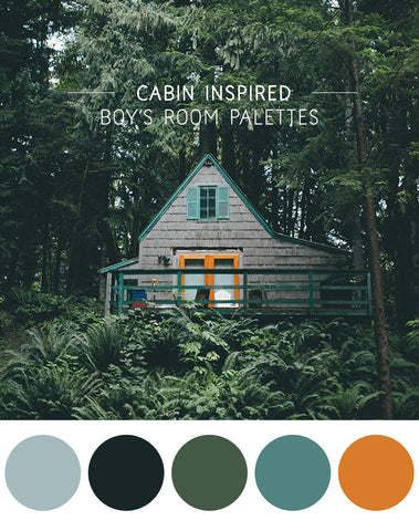 One Tiny Tribe colour palette for a boy's room picked right out of nature. Dark greens, muted blues, and a pop of orange.