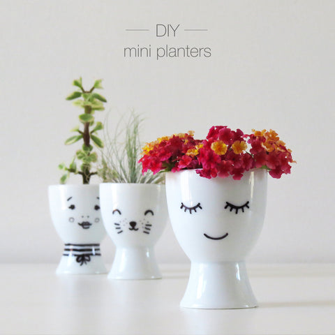 DIY mini planters by One Tiny Tribe