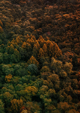 above_001