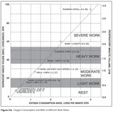 Oxygen Consumption and Work Rates