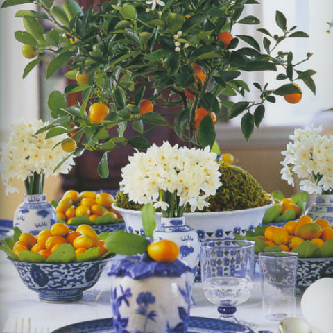 Citrus table setting with blue and white china