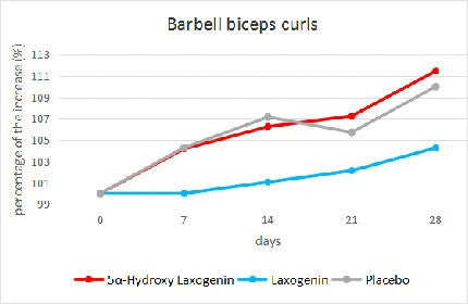 barbell bicep curl results