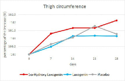 thigh circumference