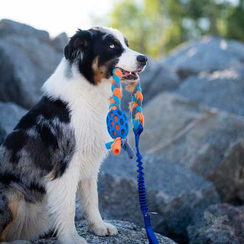 Doggie-Zen Holee Football Fleece and Rabbit Braid Squeaky Bungee Tug