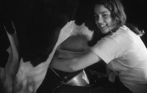 Kristin milking Willy the cow