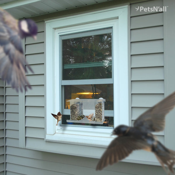 window bird feeder with mirror