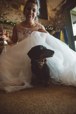 Weddings dog ring bearer bowzos Harris tweed dachshund Edinburgh frankie