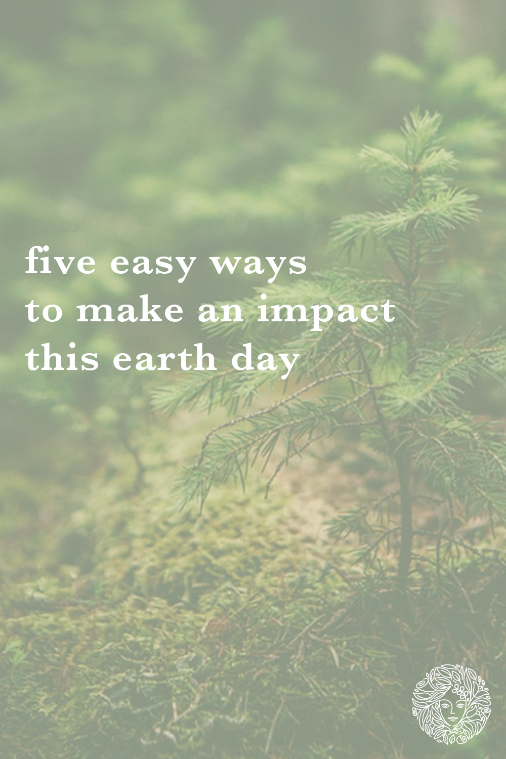 5 Easy Ways to Make an Impact this Earth Day