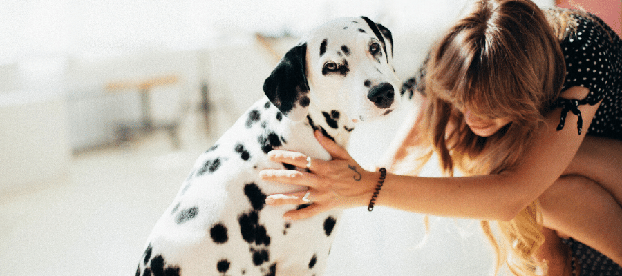 woman petting dalmation dog coronavirus quarantine for dogs
