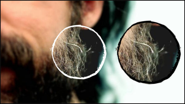 The RBM guide to Split Ends, how are they caused & how to get rid of them –  Real Bearded Men