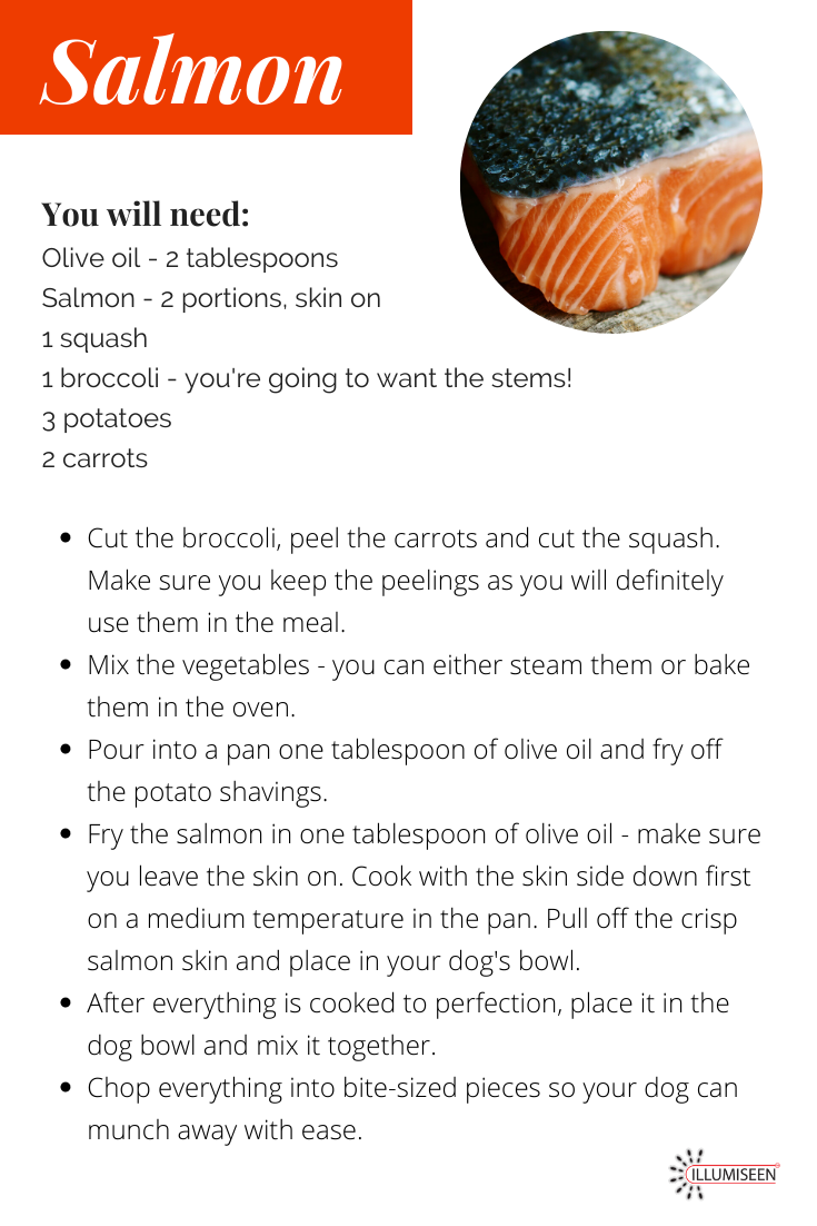 Salmon Dog Food Recipe