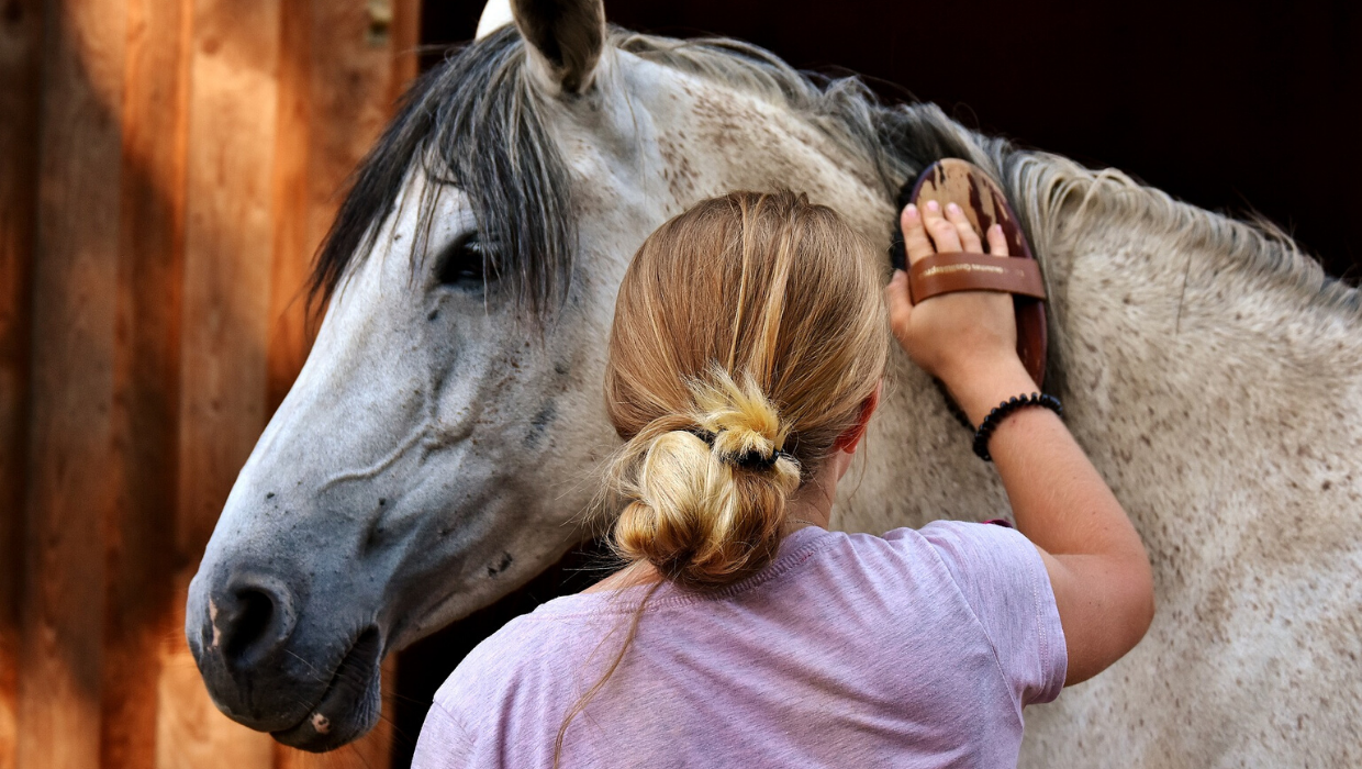 Woman brushing her horse's mane