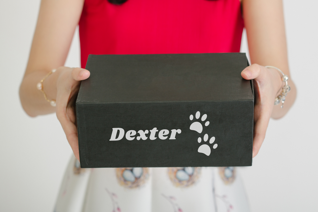 Dog Gift Box