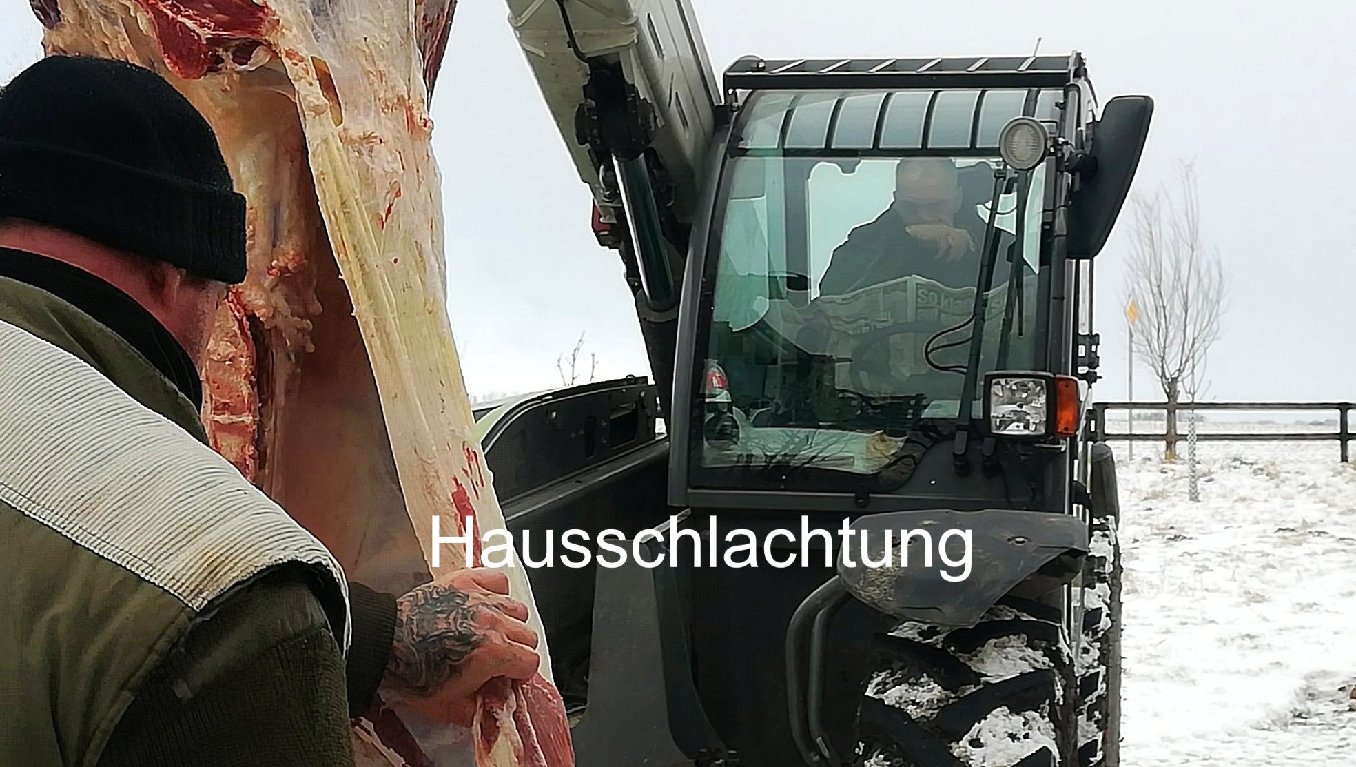 Hausschlachtung wir schlachten ein Rind