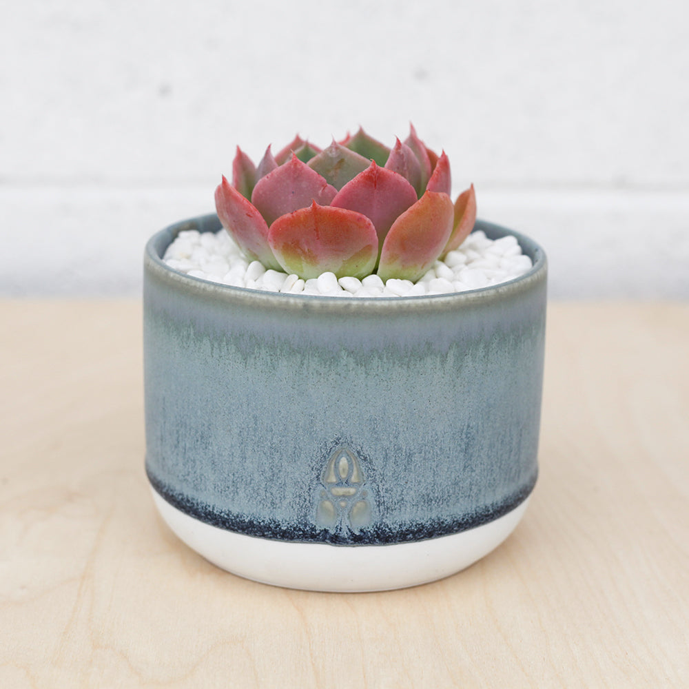 succulent pot drainage 