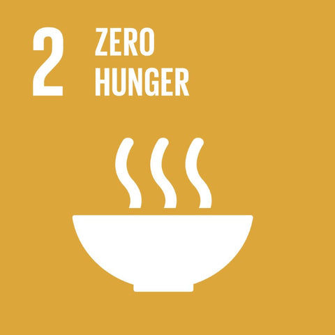 Global Goals for Sustainable Development Global Goal 2 Zero Hunger - Anti Poverty Week in Dubai and the UAE by the Lilfairtrade Shop