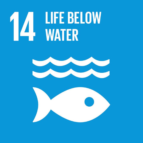 Global Goals for Sustainable Development Global Goal 14 Life Below Water - Anti Poverty Week in Dubai and the UAE by the Lilfairtrade Shop