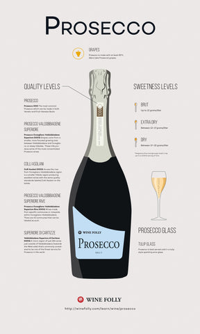 An infographic depicting the qualities of a prosecco.