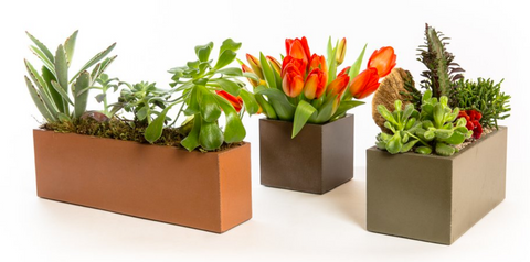 concrete planters with flowers