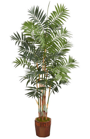 A tall bamboo palm in a fancy brown pot. The bright green palm leaves sit upon tall, thin, bamboo-looking stalks.