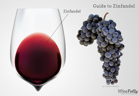 An infographic describing the color of zinfandel wine and grapes.