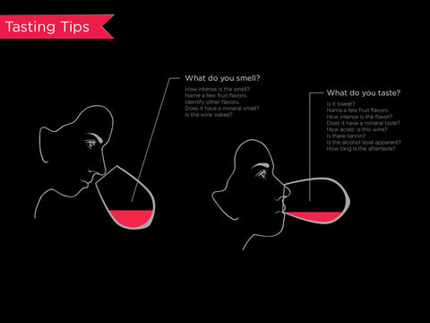 An infographic explaining what to look for during a wine tasting.