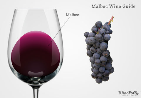 An infographic showing the color of Malbec wine and grapes.