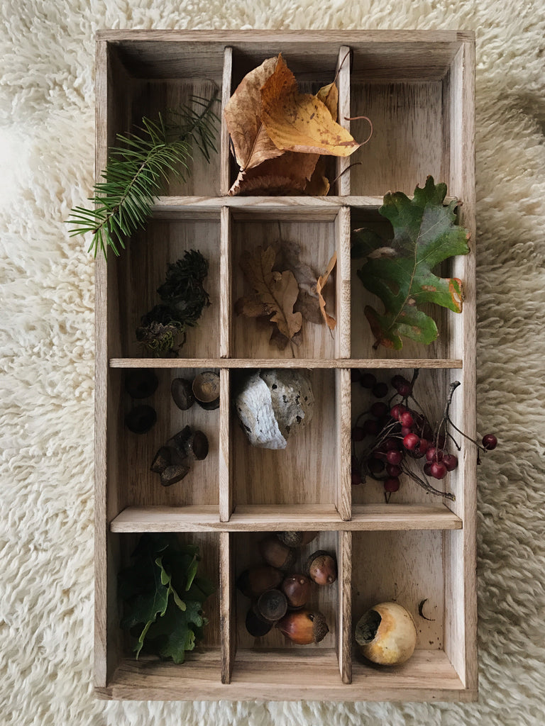 Nature Trays are a fun, intactive way to teach your children about the outdoors and collect the bits of nature they find interesting along the way!