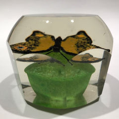 Antique German Thuringian Art Glass Paperweight Butterfly Millefiori Wings