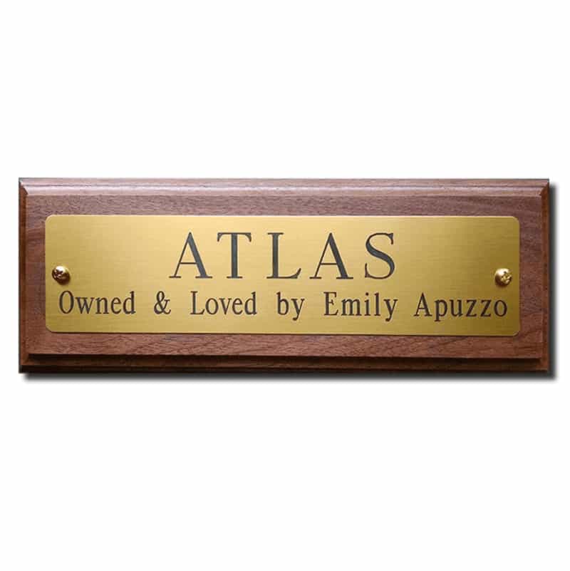 6/"x3/" curved end brass engraved plaque//name plate Deep Engraving in Solid Brass