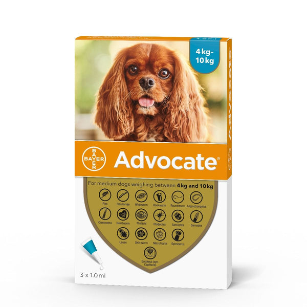 advocate medium dog 6 pack