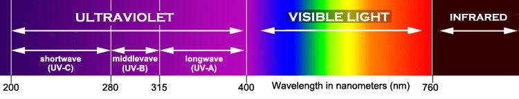UV blacklight Spectrum 