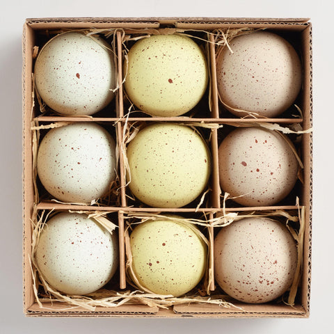 Speckled Chicken Eggs 9 Pack