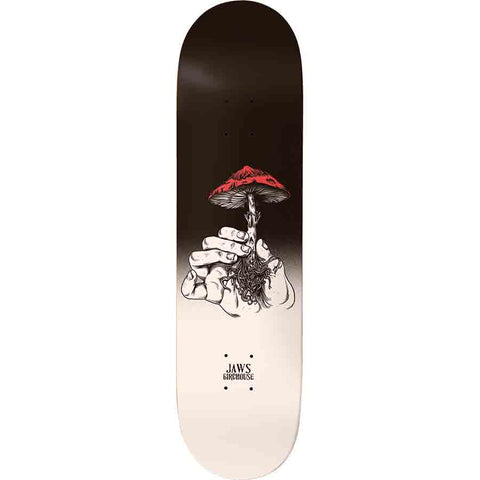 Birdhouse | 8.25” Jaws – Mushroom