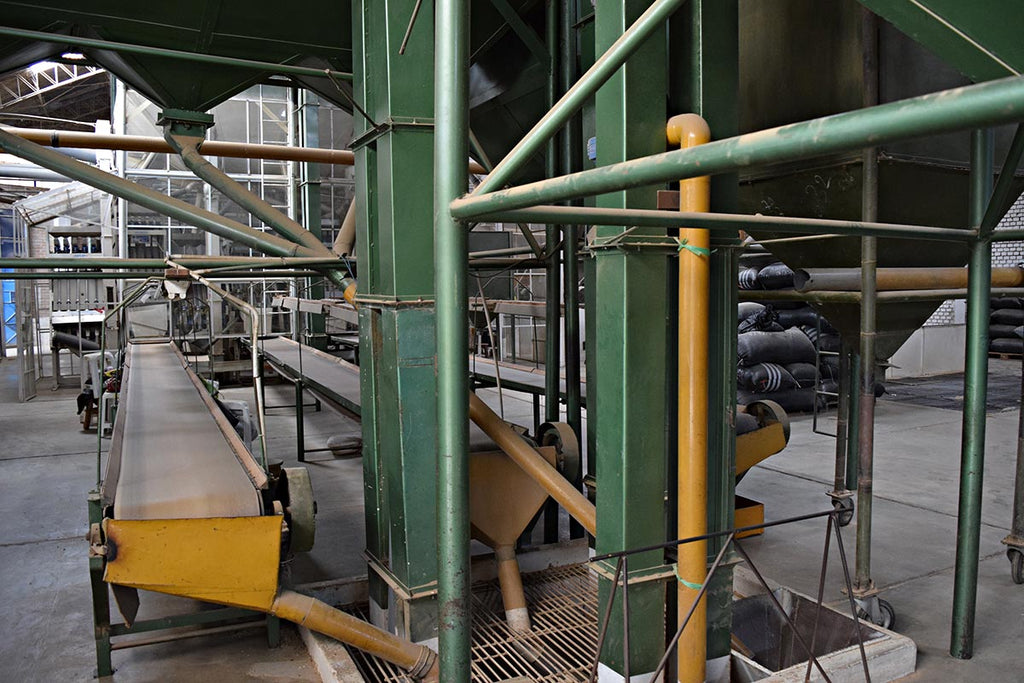 Cafe Femenino Peru - Dry Mill Conveyors