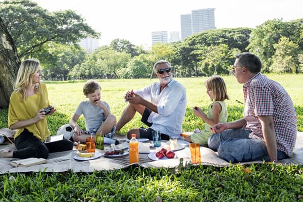 Picnic Snacks