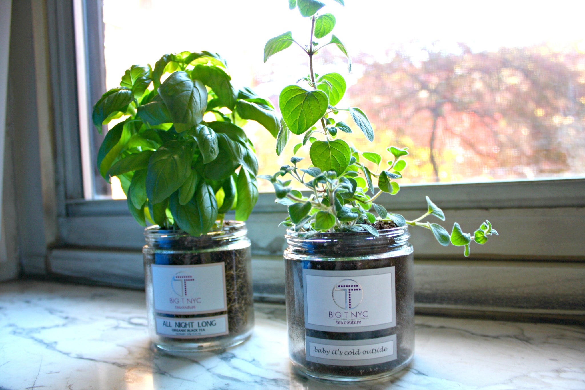 Repurpose and Reuse Big T NYC glass jars