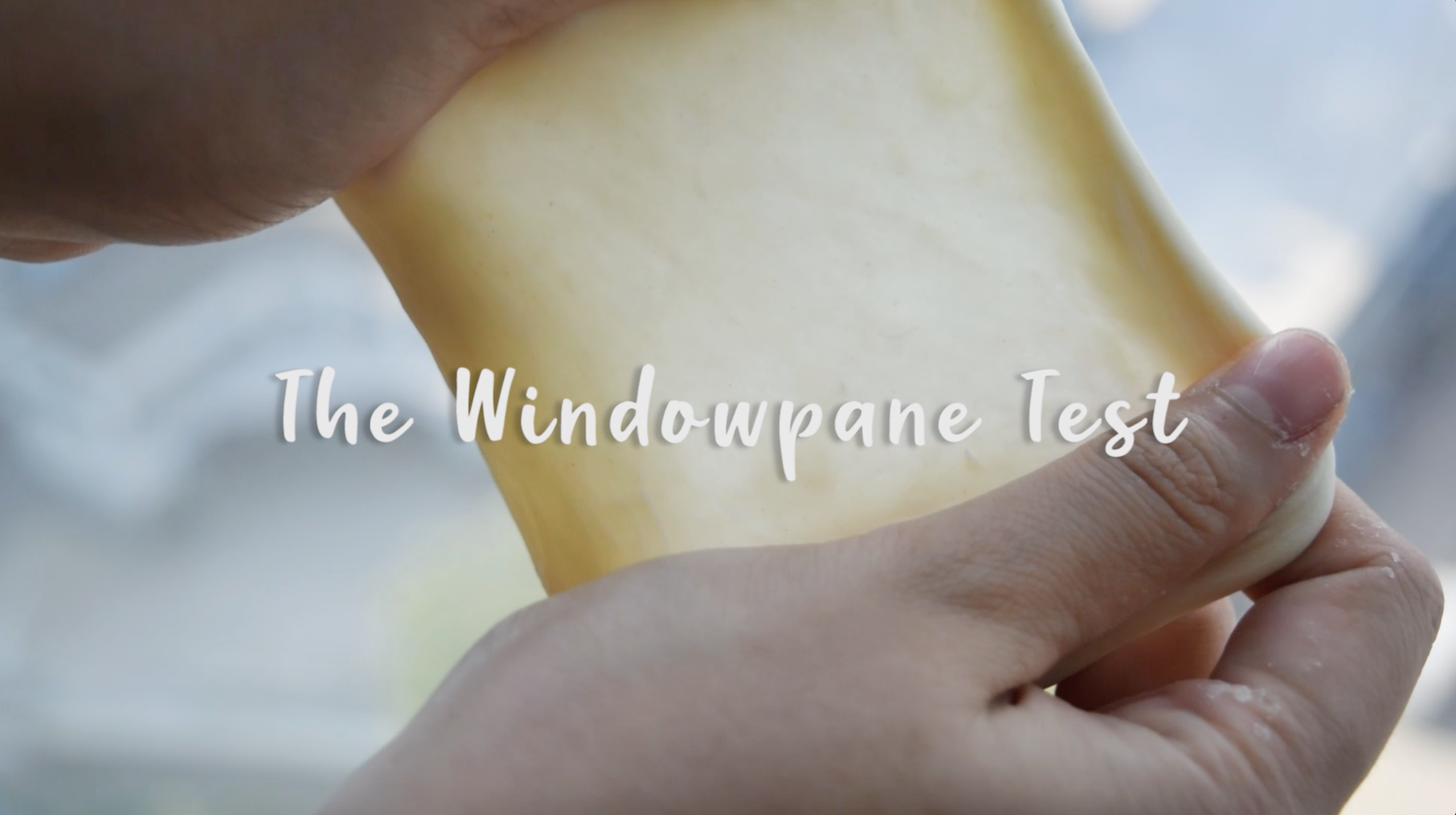 Translucent membrane of windowpane test