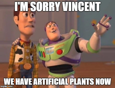 Artificial Plants meme