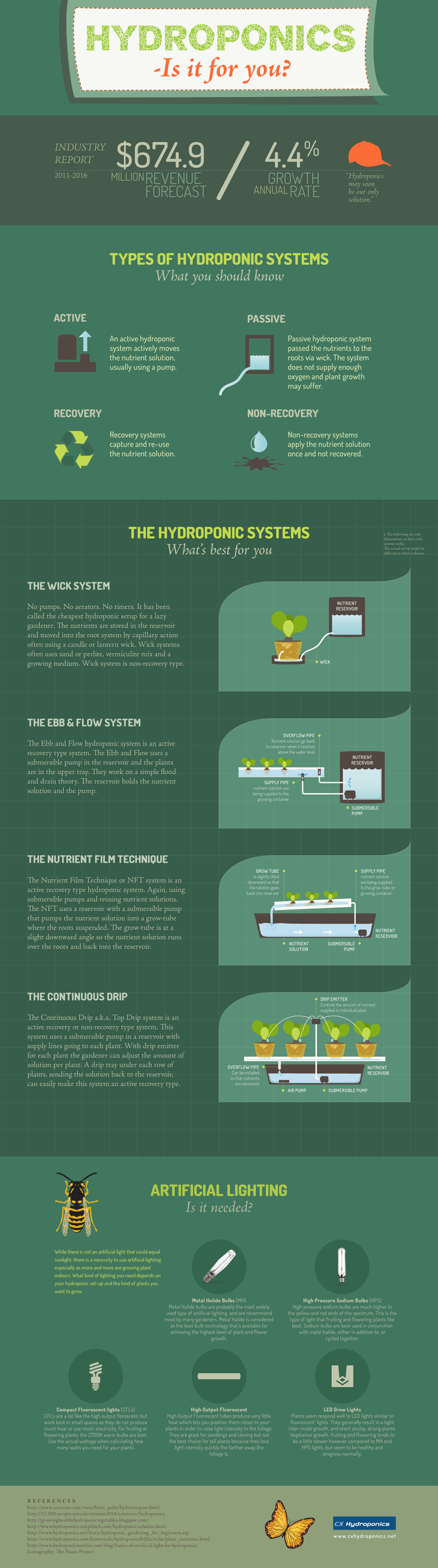 hydroponics infographic