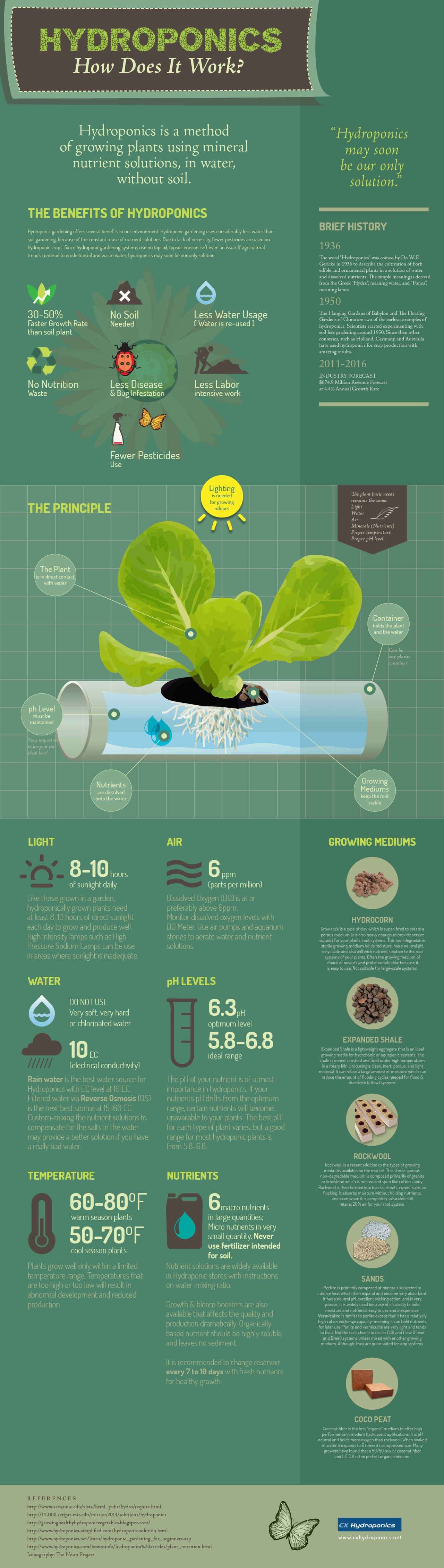 Hydroponics - how does it works?