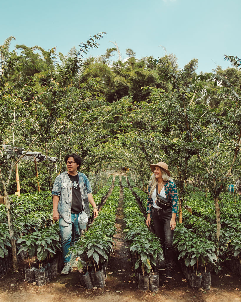 cafe loco ethical coffee sourcing tour, cupping, finca san jeronimo, educational, ethically sourced coffee