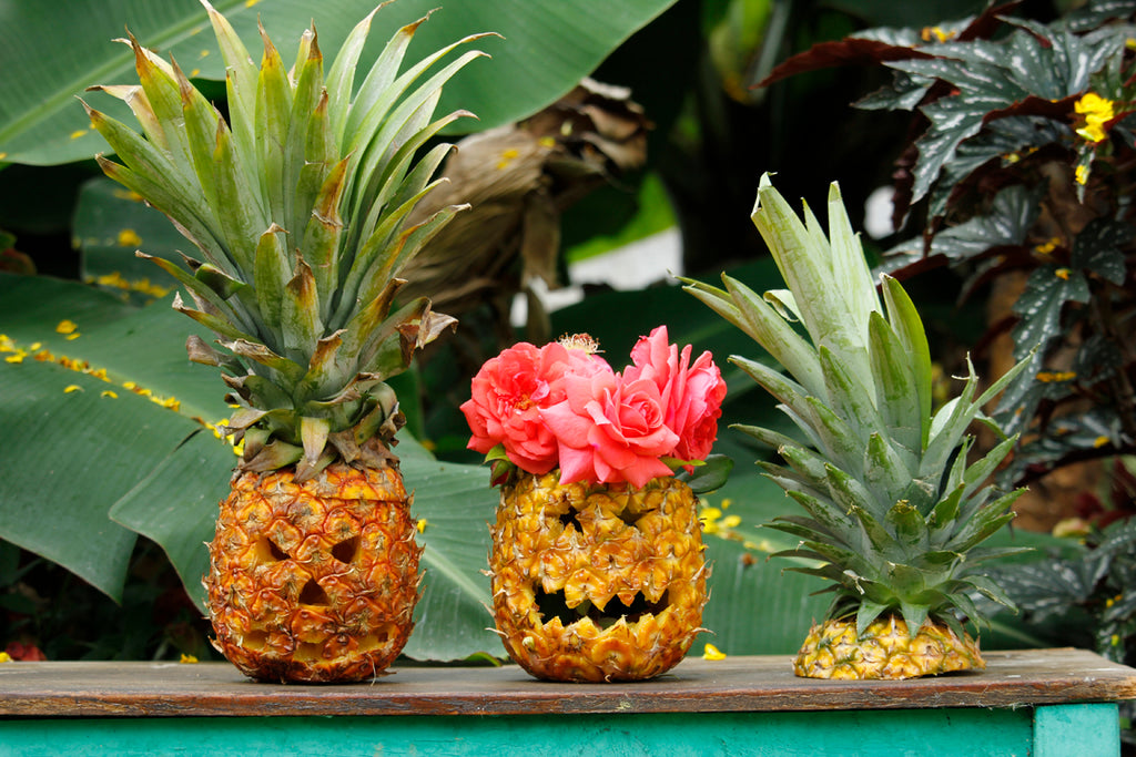 pineapple jack-o-lantern, pinterest halloween, pinterest pineapple, pineapple carving, hiptipico blog, alyssaya blgo