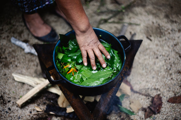 Pot over wood fire filled with a mixture of vibrant green and yellow leaves, natural dyeing of fabric, how to dye fabric naturally, ethical fashion brands that use natural dye