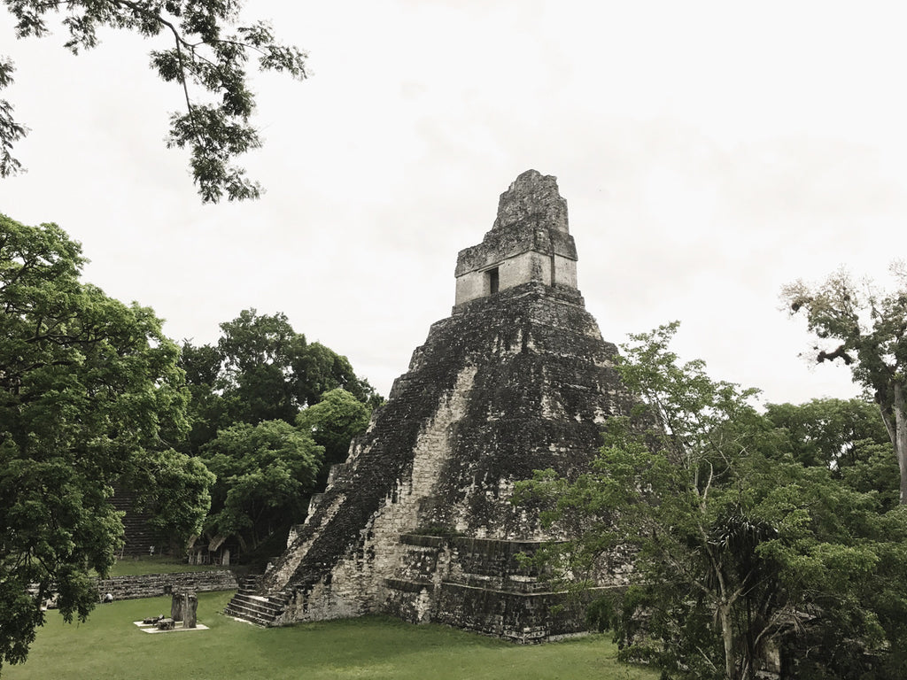 A photo of some of the ruins in Tikal National Park