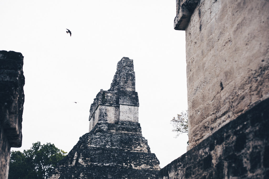 A photo of some of the ruins in Tikal National Park