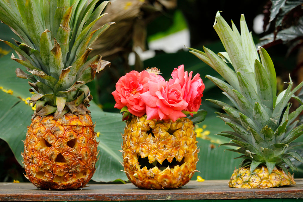 alyssaya blog, hiptipico travel blogger, pineapple carving, pineapple pumpkin, pineapple pinterest, pineapple jack o lantern