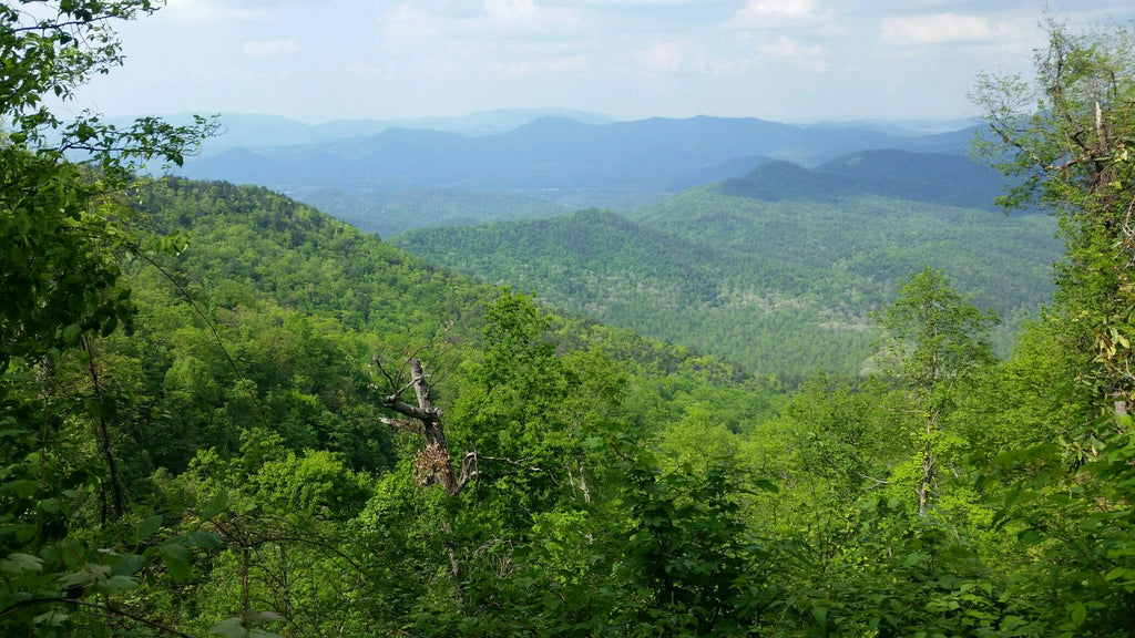 great smoky mountains scenery