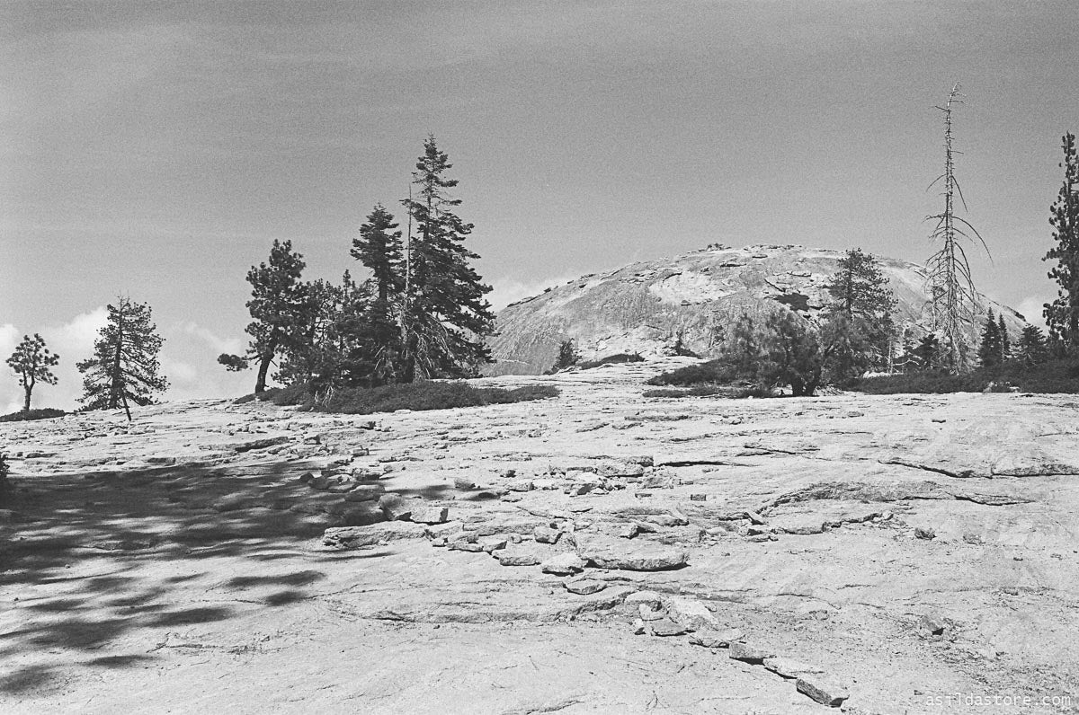 Yosemite Valley View. Shot on 35mm film HP5 and Leica M6